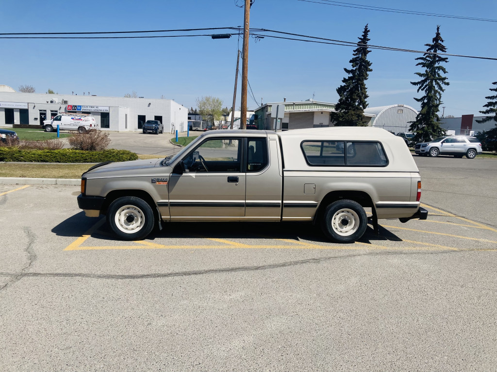 【tchami】 2023_rabbit_from_the_mountains