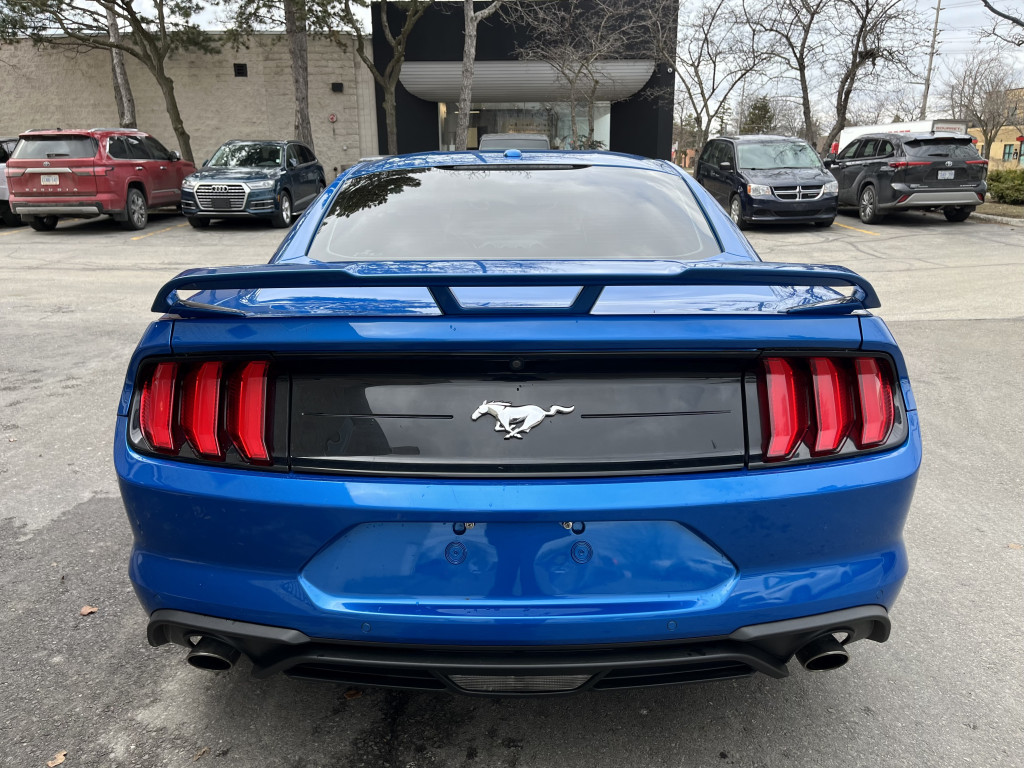 2019 Ford Mustang