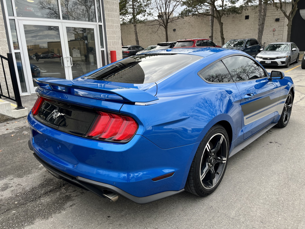 2019 Ford Mustang
