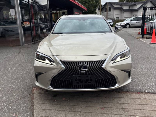 2019 Lexus ES300h