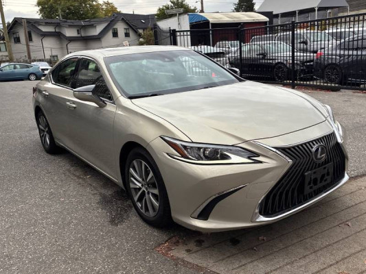 2019 Lexus ES300h