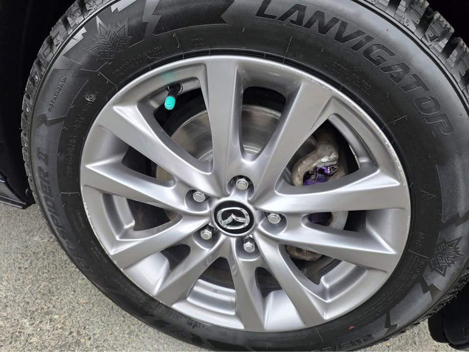 Image 8