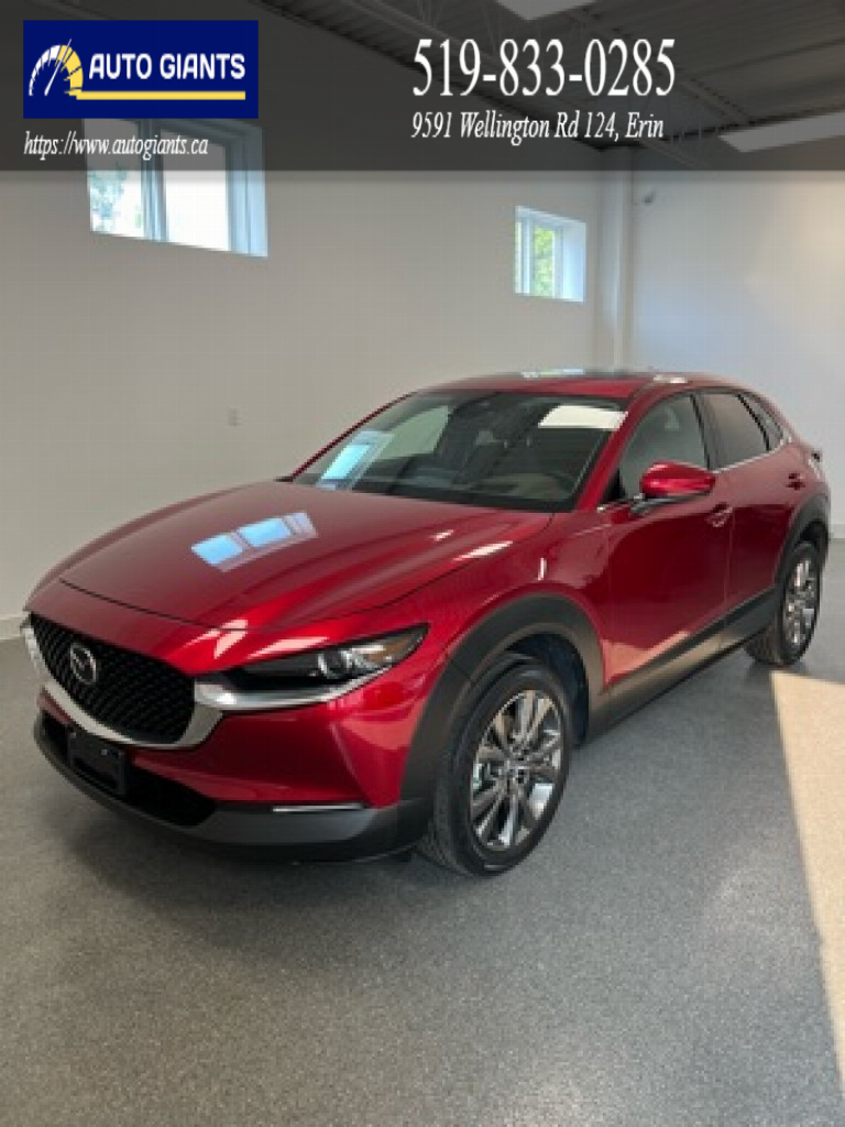 2021 Mazda CX30 | Auto Giants — thumbnail 2