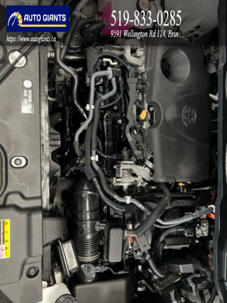 2021 Toyota Sienna | Auto Giants — thumbnail 20