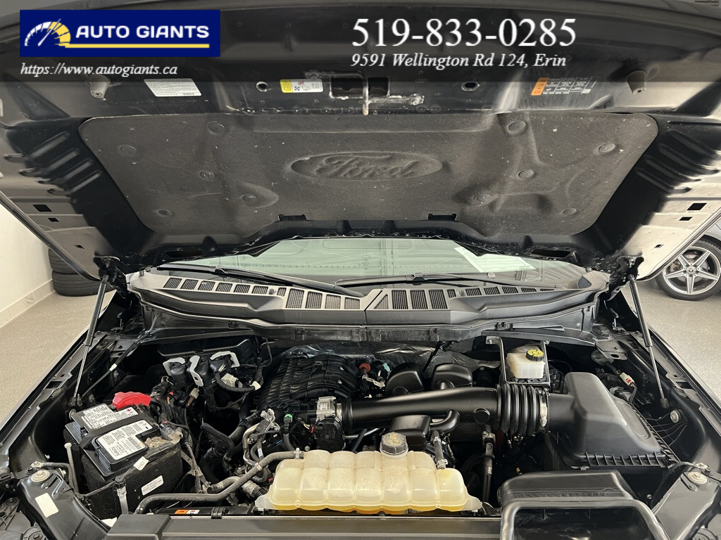 2022 Ford F-150 | Auto Giants — thumbnail 24