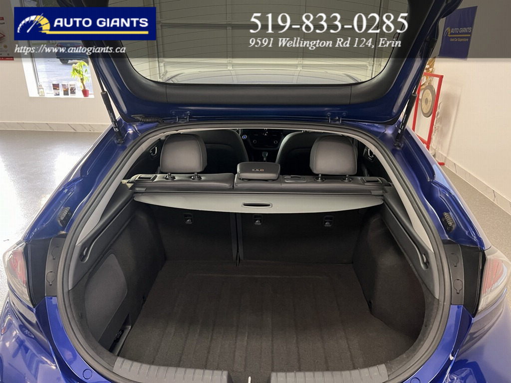 2021 Hyundai Ioniq Electric | Auto Giants — thumbnail 33