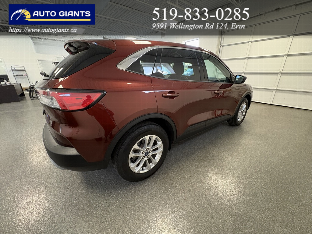 2021 Ford Escape | Auto Giants — thumbnail 11