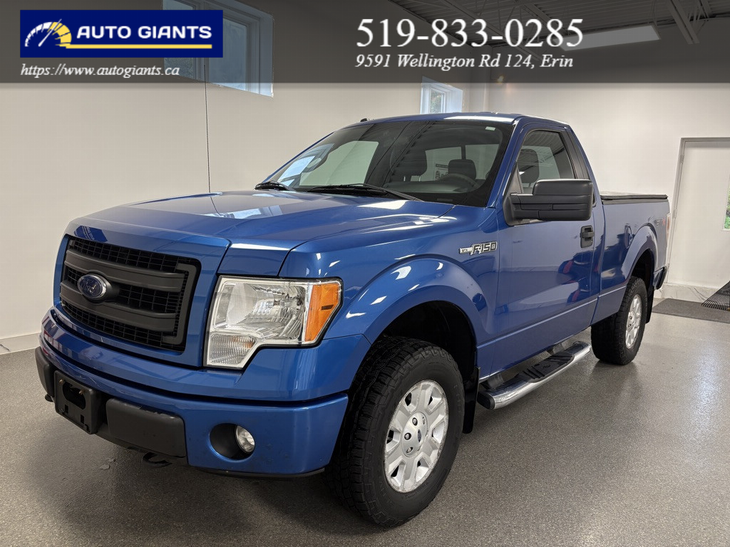 2013 Ford F-150 at Auto Giants